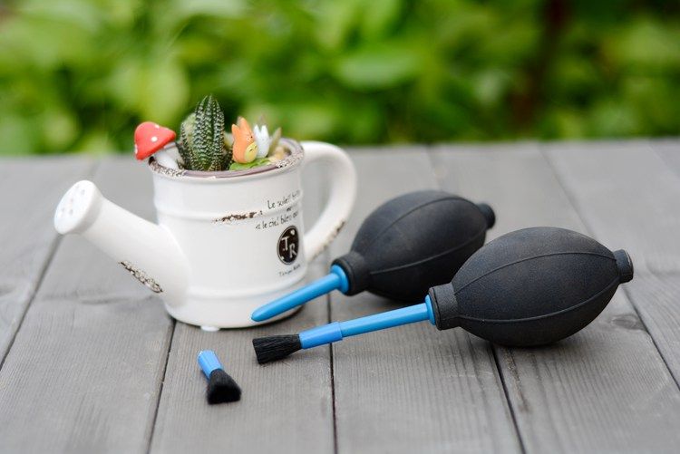 多肉植物盆栽花卉 吹气球 吹尘器 园艺气吹 肉肉清洁工具