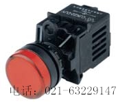 长江电器 信号灯、指示灯、按钮 CJK22-DP