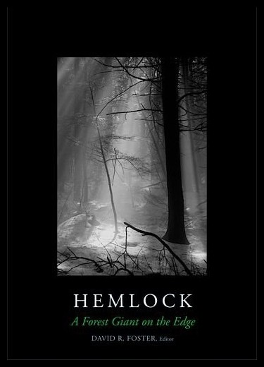 【预售】hemlock: a forest giant on the edge