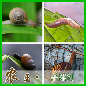 园艺药剂 蔬菜 花卉 植物杀虫剂 杀螺剂 螺及蛞蝓特效  袋   包邮