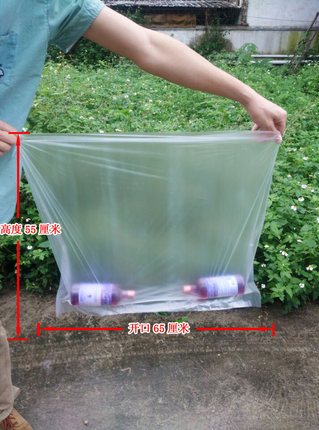 100个产品包装内袋/55*65/内衫/塑料包装袋/加厚平口袋/保护膜
