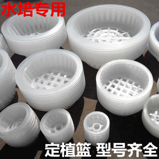 花瓶水培定植籃 植物固定根部塑料籃子綠蘿吊蘭固根器圓形魚缸蓋