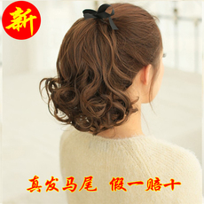 Extension mèches - Ref 218092 Image 21