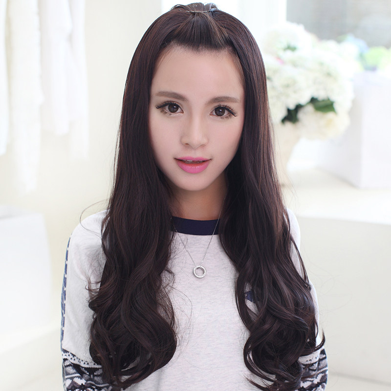 Perruque Les cheveux longs - Ref 2613397 Image 1