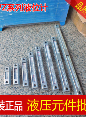 液压油箱液位计油位计YWZ-80T100T125T150T200T 250T 300T 油标