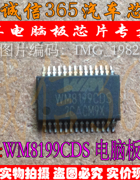 WM8199CDS  汽车电脑板芯片IC 现货