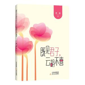 既见君子云胡不喜 林潇 北岳文艺出版社 社会小说 书籍