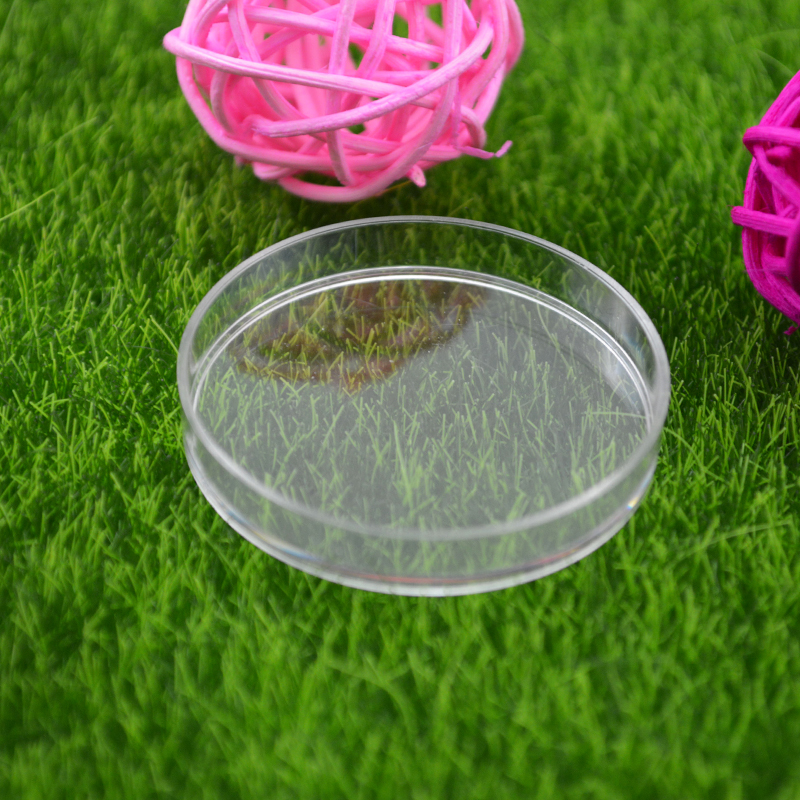 施王蚁馆 宠物蚂蚁喂食盘 昆鸣虫喂食器 食物碟盘 3个