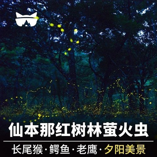 仙本那红树林一日游