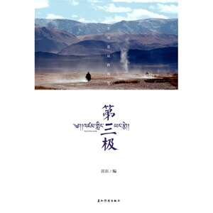 第三极（附赠DVD，大型电视纪录片《第三极》同名图文珍藏版）