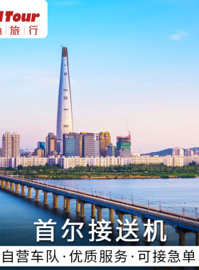 首尔机场接送中文服务