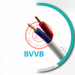 【全铜国标】扁护套线BVVB2*4平方 2芯护套线 硬护套线 100米/卷