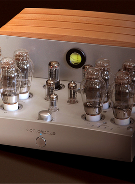 Opera/欧博 Cyber880AM - 双单声道电子管后级