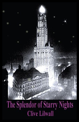 现货 【】The Splendor of Starry Nights