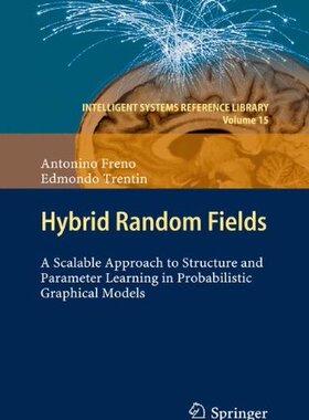【预订】Hybrid Random Fields