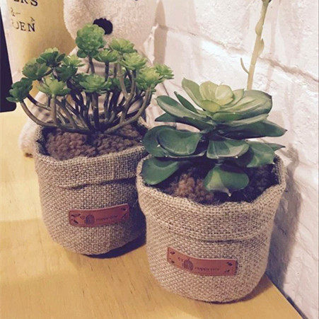 复古风创意仿真多肉植物竹炭包汽车除味活性炭包居家办公桌摆件|ruв категории начало ежедневно, Дома здоровья, бамбуковый древесный уголь пакет/угольный ящик/активированный уголь - от Buy2taobao.com для оказания профессиональной услуги покупки агента Taobao