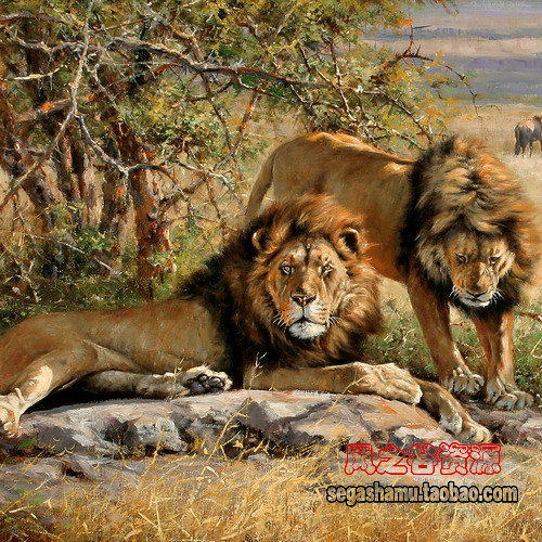 美术绘画临摹素材 手绘动物系列 高清 油画图库 图片98张