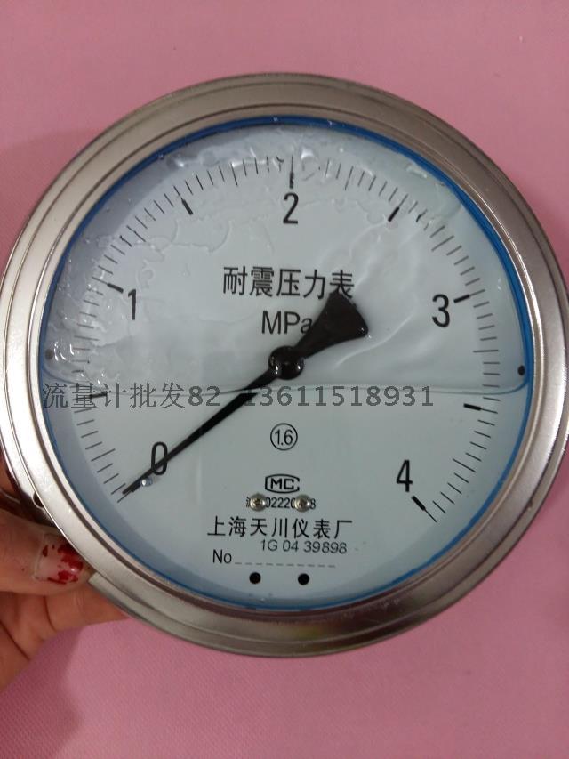 上海轴向全规格耐震压力表