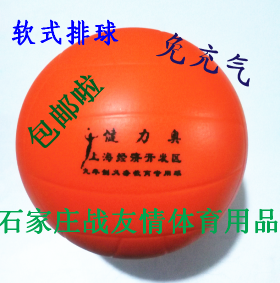 Ballon de volley - Ref 2010465 Image 1