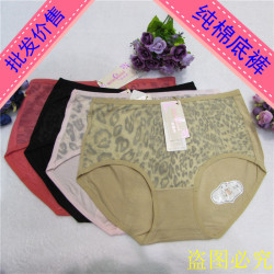 Body - Ref 650712 Image 14