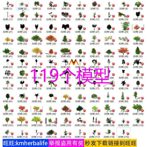 H565三维植物花卉3D乔木热带植物花卉植物3D树草图大师SU模型合集