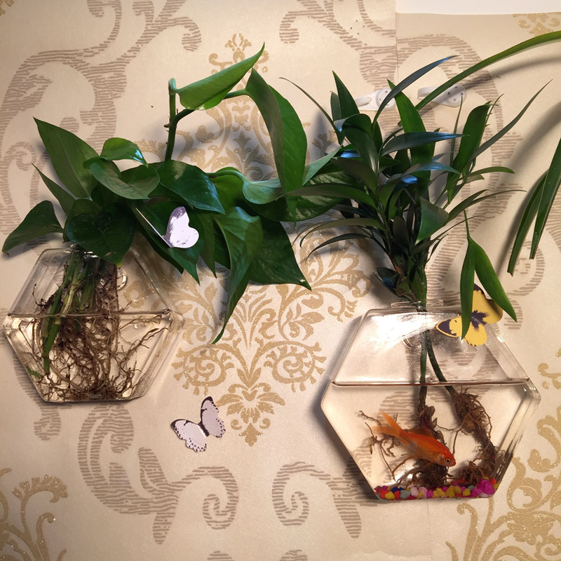 六角墙壁挂时尚家居器小鱼缸花瓶