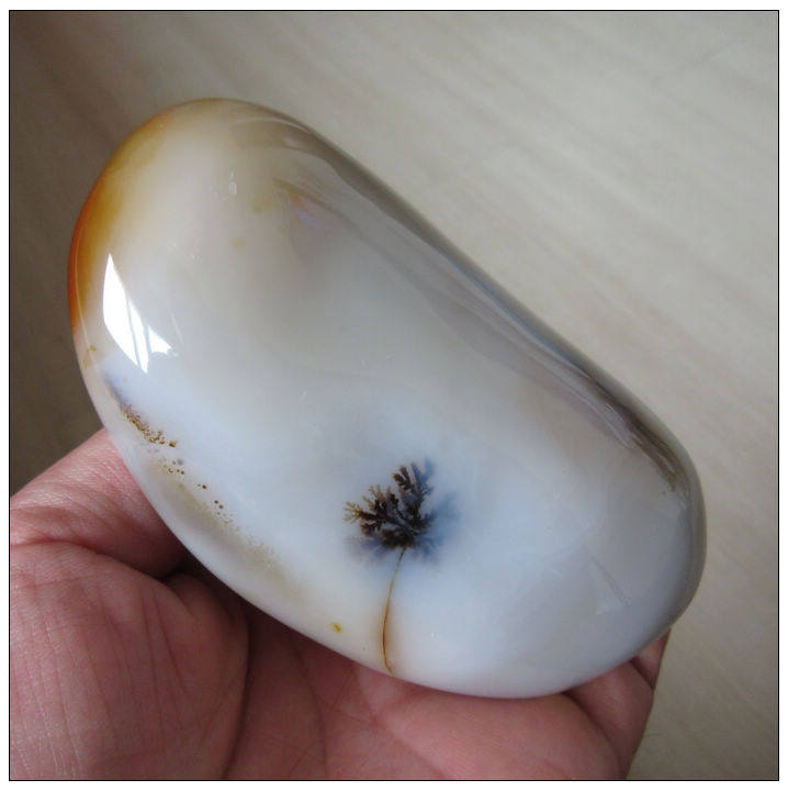 天然水草玛瑙原石小摆件：椰子树大水草。水草清晰 新款削价