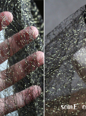 镂空透视金线黑色网纱刺绣布料蕾丝礼服连衣裙进口设计师时装面料