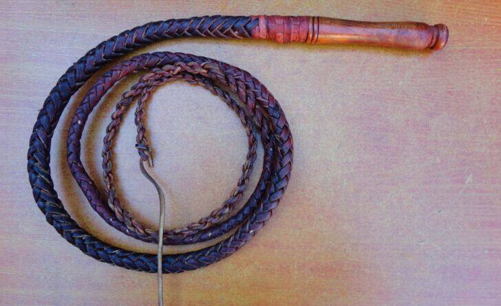 Article équitation - Ref 1383348 Image 1