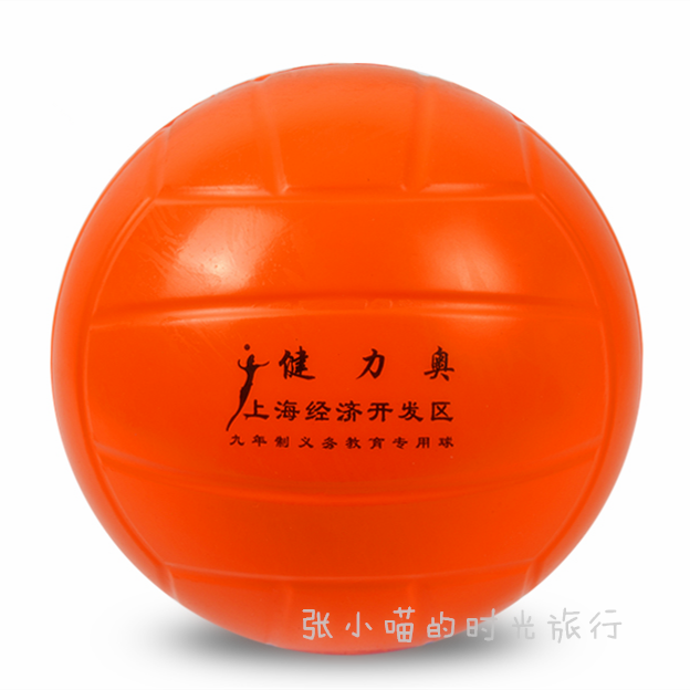Ballon de volley - Ref 2010010 Image 1