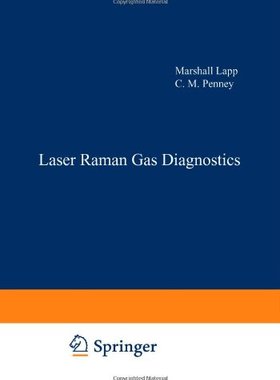 【预售】Laser Raman Gas Diagnostics