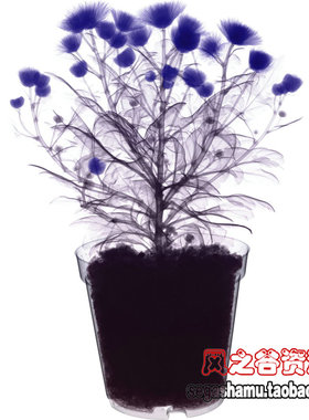 PS设计创意摄影参考图库 素材 X光透视背景 壁纸图片260张