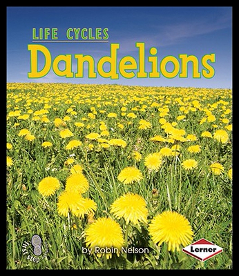 【预售】Dandelions
