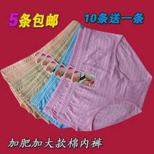 Corset en nylon - Ref 676715 Image 5