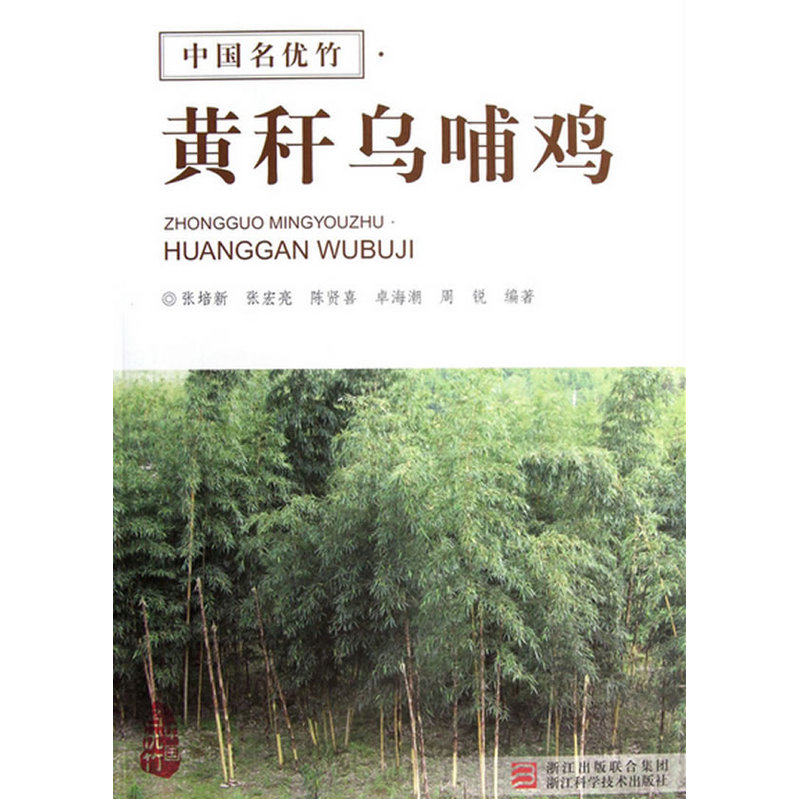 中国名优竹 黄秆乌哺鸡
