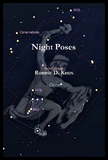 美国库房发货，通常付款后5-8周到货！