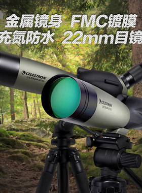美国星特朗22-67X100A观鸟望远镜高清高倍望眼镜微光夜视专业正品