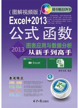 Excel+2013公式、函数、图表应用于数据分析从新手到高手：图解视频版