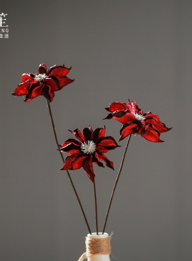 南笙 家居饰品花瓶干花花束插花客厅花艺摆设装饰拍摄道具虞美人