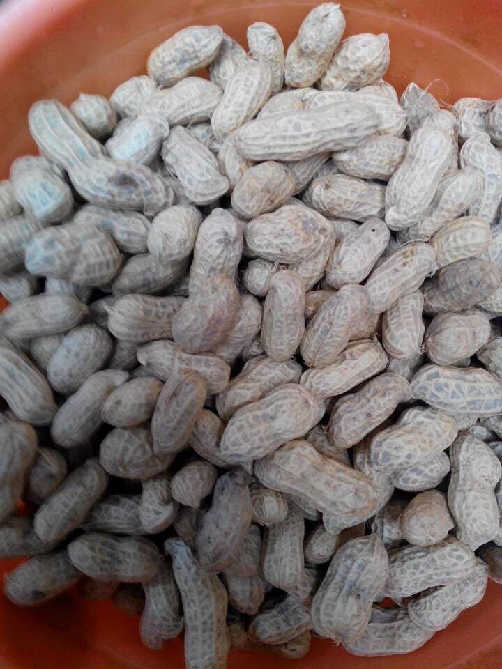 江西赣南特产 赣州小吃  农家沙（砂）炒花生 休闲食品