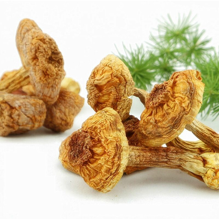 品质姬松茸 巴西蘑菇 松茸菇菌 福建干货特产 农家自产 250g包邮