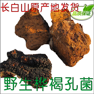 250克 桦褐孔菌 桦树茸 黑金 非俄罗斯 长白山野生白桦茸
