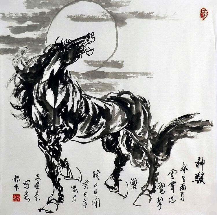 名人书法字画纯手绘客厅E010916四尺斗方国画马 神驹68 68