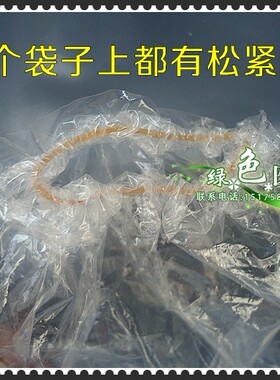 一次性接便造松紧腰带肛门袋