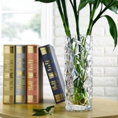 北欧大号简约创意透明玻璃花瓶客厅摆件插花水培富贵竹干花饰品