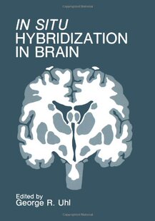 预售 Hybridization Brain Situ