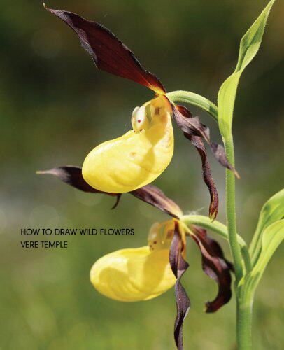 【预售】How to Draw Wild Flowers (Replica Edition)