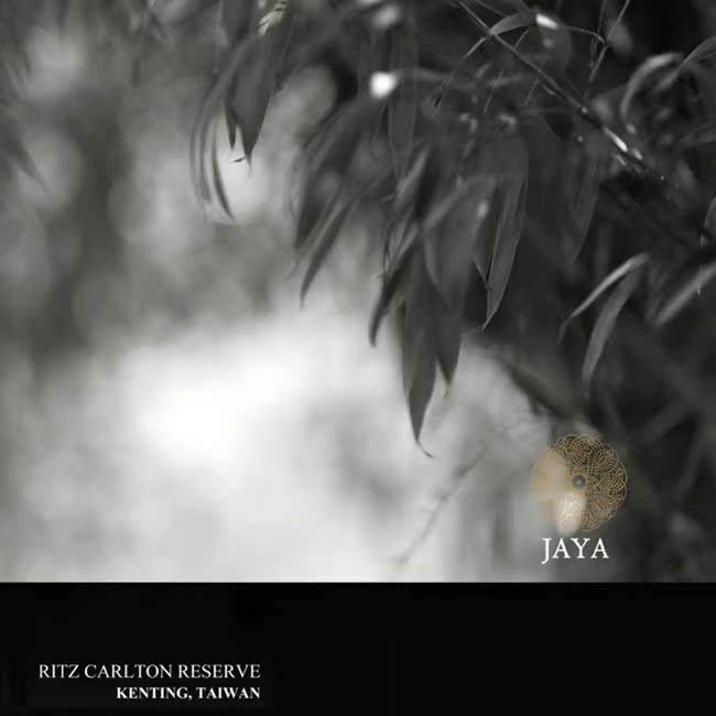 JAYA台湾丽思卡尔顿酒店概念方案 室内设计资料