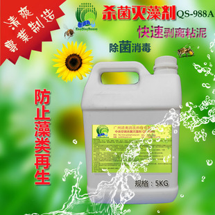 瀞爽中央空调复合杀菌灭藻剂水池冷却塔粘泥剥离剂除青苔5KG