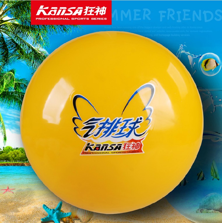 Ballon de volley-ball - Ref 2008737 Image 1